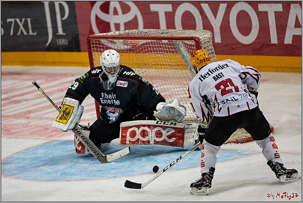 DEL, Koelner Haie - Fishtown Pinguins Bremerhaven, 29.01.2017